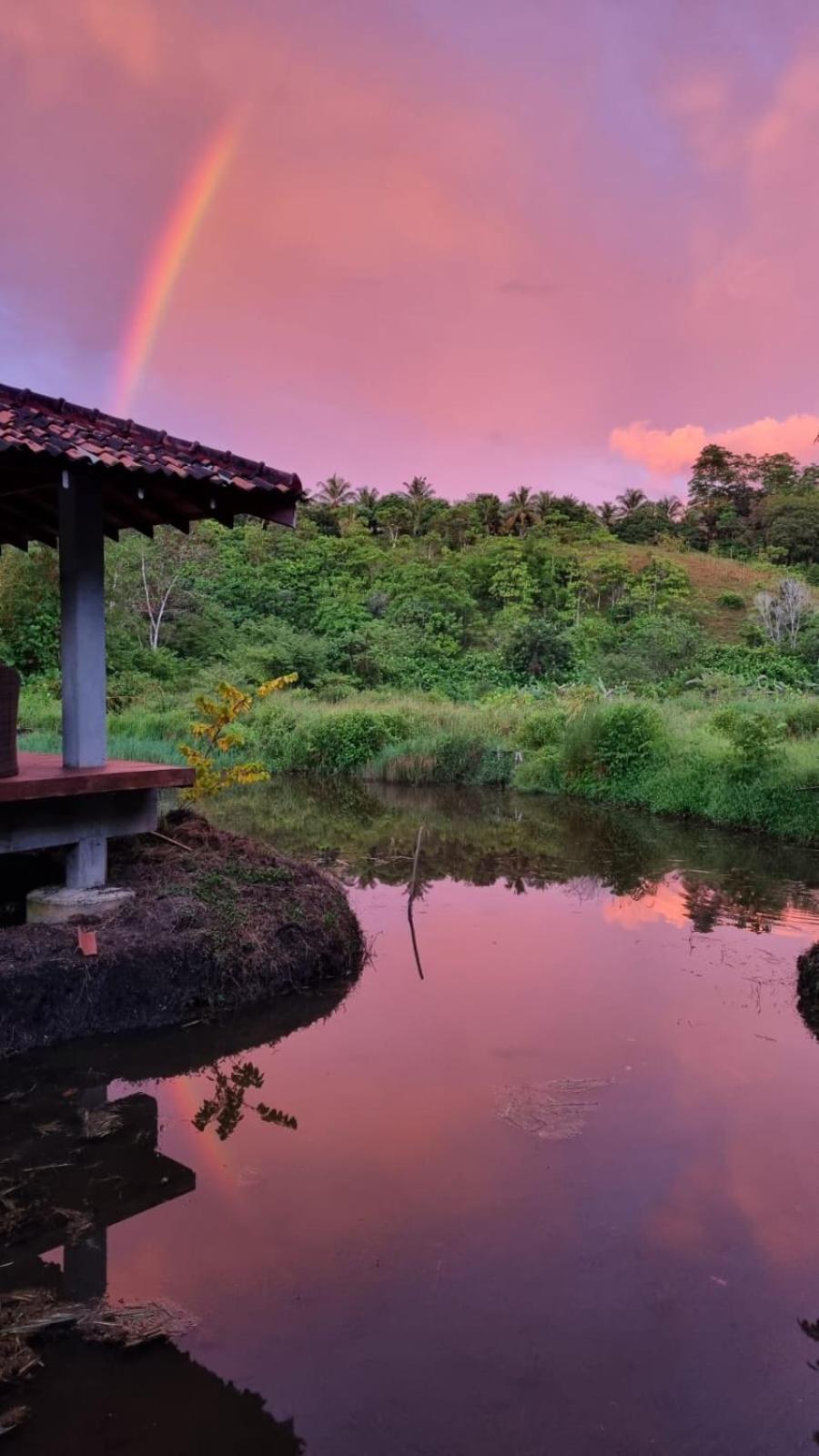 Laluna Eco Resort Pvt Ltd 贝鲁沃勒 外观 照片