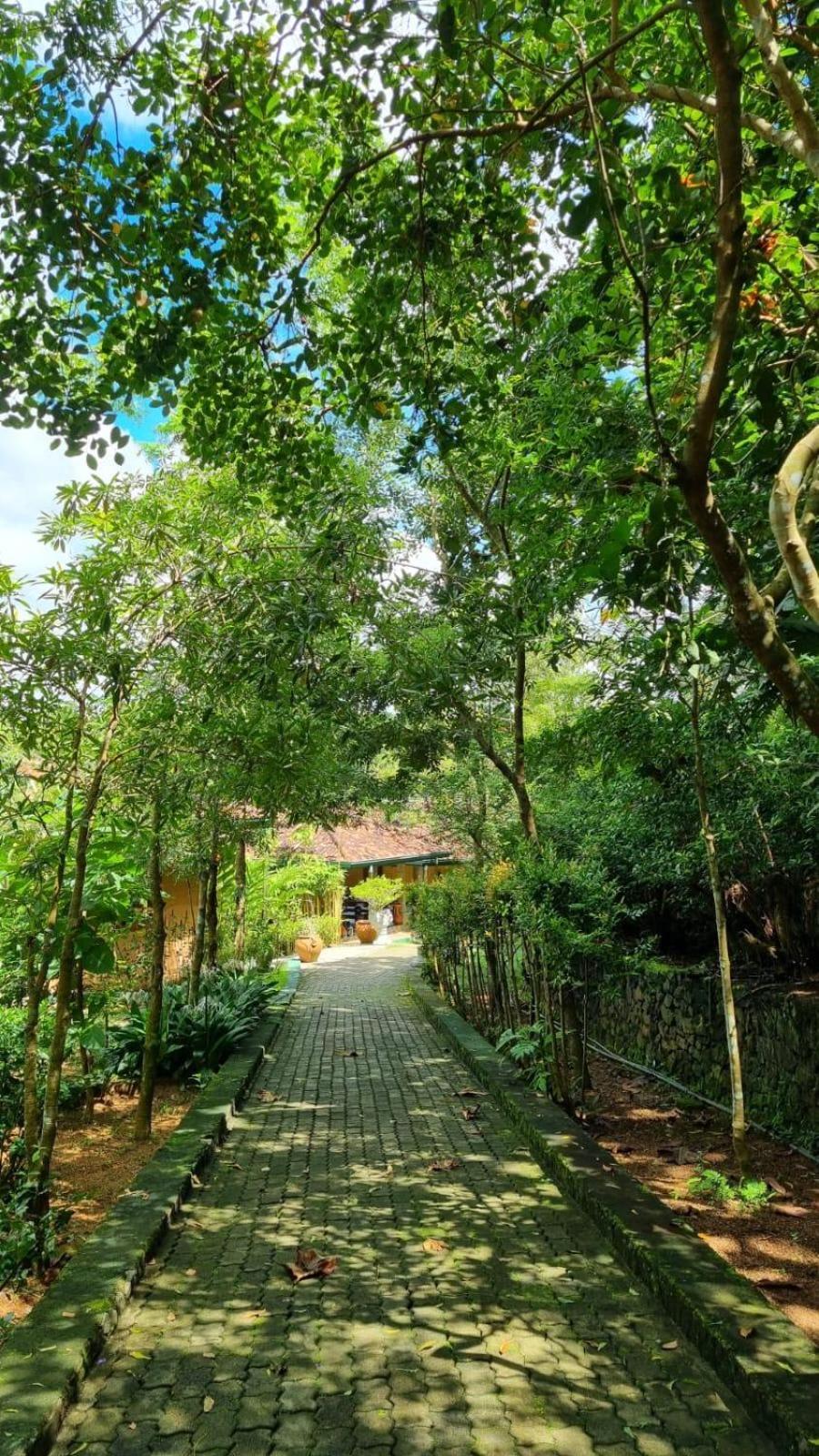 Laluna Eco Resort Pvt Ltd 贝鲁沃勒 外观 照片